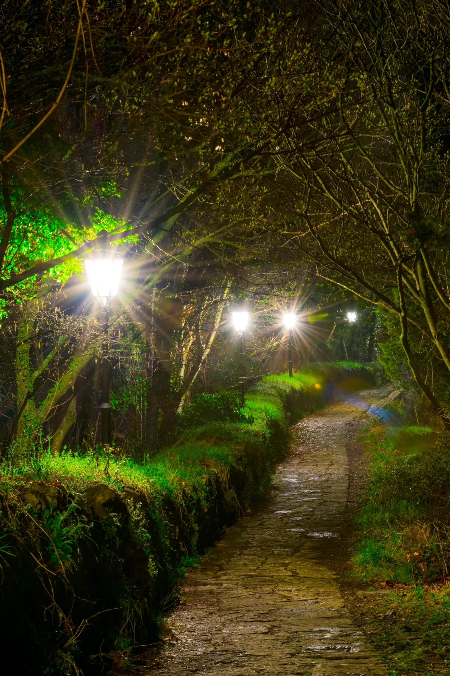 Recent Landscape Lighting Projects 2