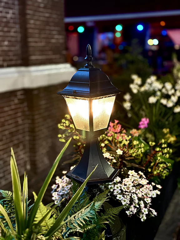 Recent Landscape Lighting Projects 3